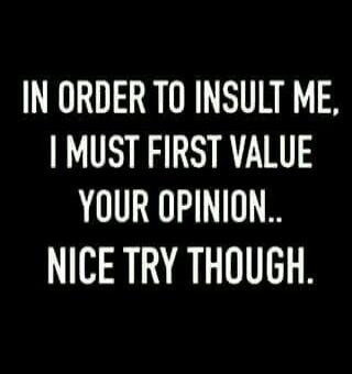 IN ORDER TO INSULT ME, I MUST FIRST VALUE YOUR OPINION.. NICE TRY THOUGH.