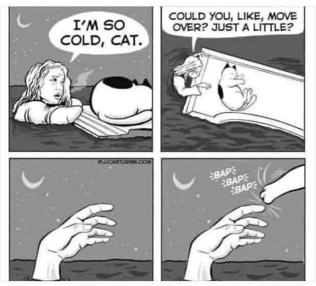 COULD YOU LIKE MOVE mso COLD CAT