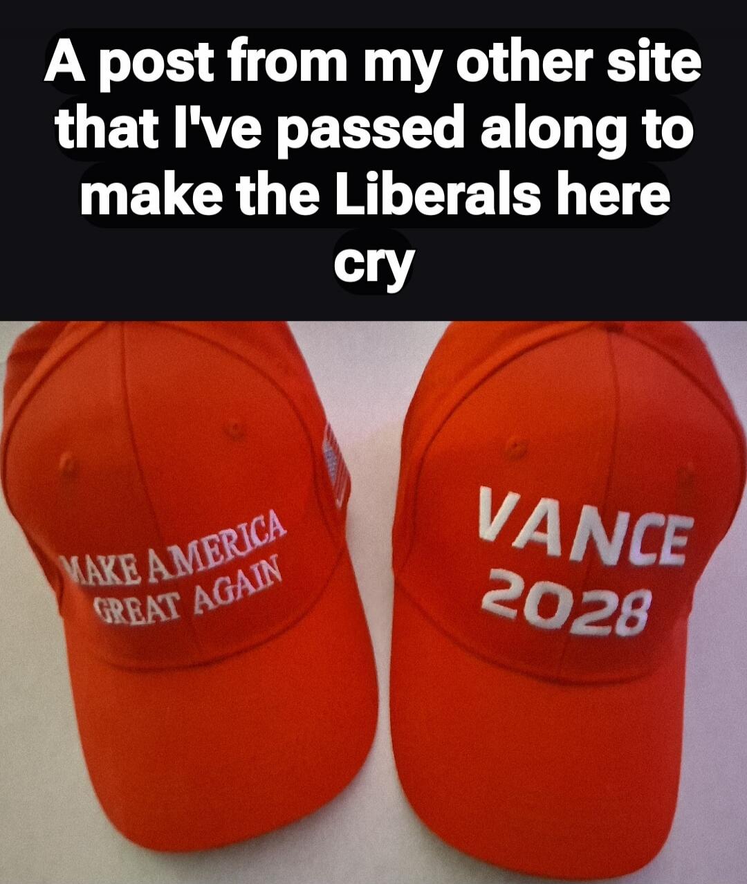 A post from my other site that I've passed along to make the Liberals here cry

MAKE AMERICA GREAT AGAIN  
VANCE 2028