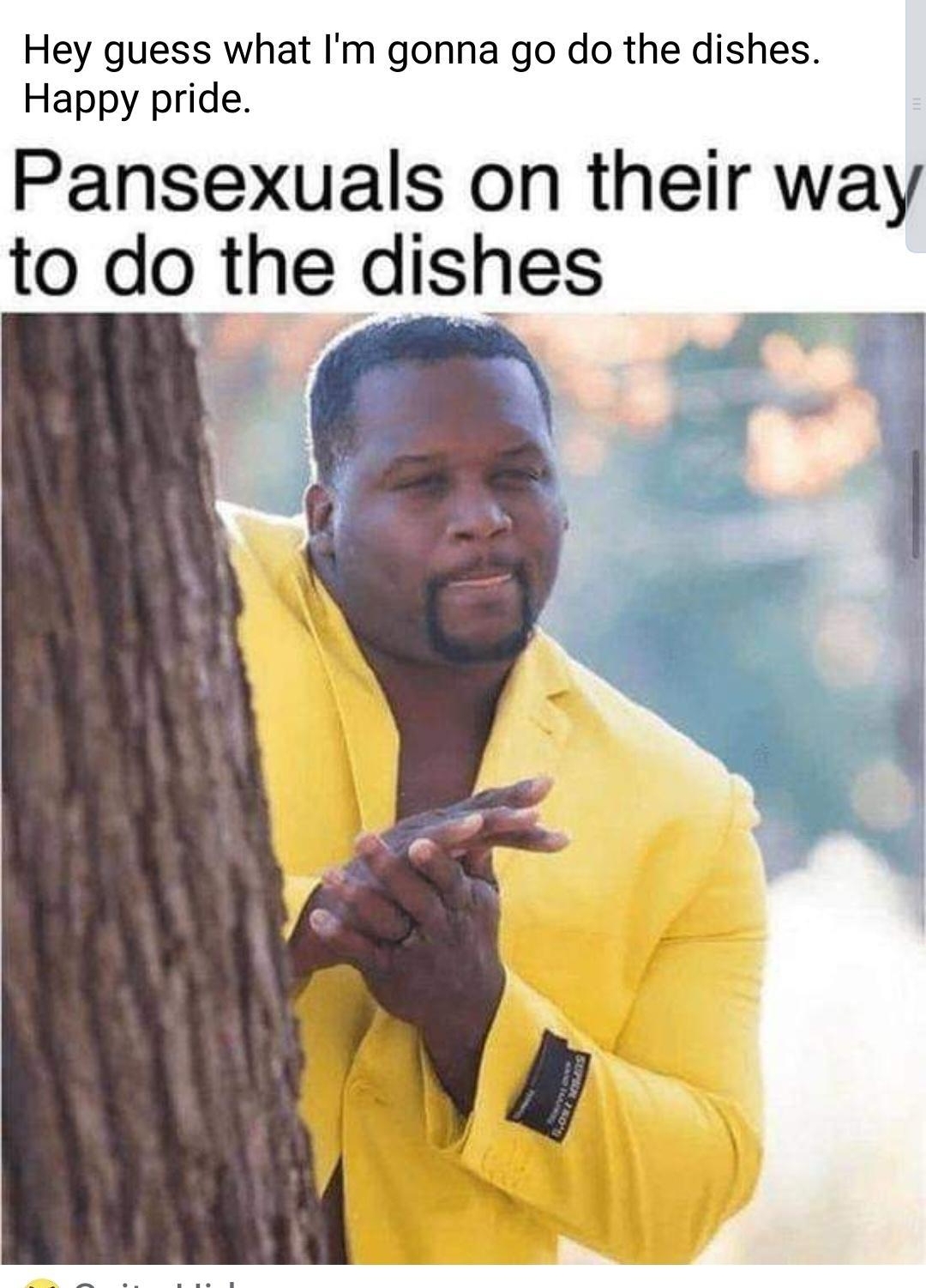 oh Tm Hey guess what Im gonna go do the dishes Happy pride Pansexuals on their way to do the dishes
