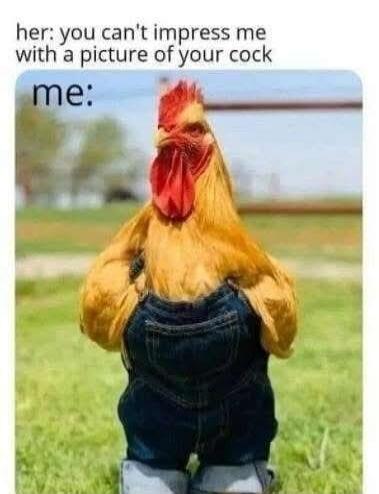 her: you can't impress me with a picture of your cock
me: [image of a chicken wearing denim overalls]
