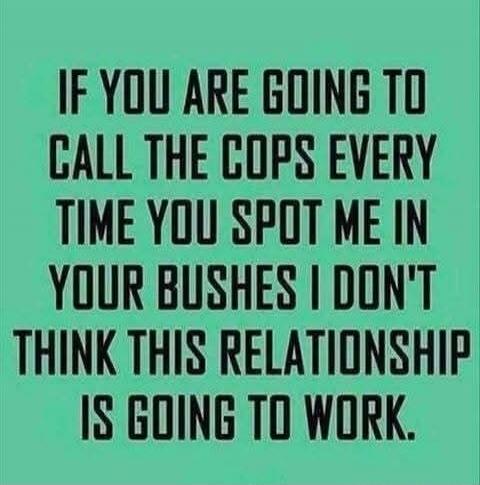 IF YOU ARE GOING TO CALL THE COPS EVERY TIME YOU SPOT ME IN YOUR BUSHES I DON'T THINK THIS RELATIONSHIP IS GOING TO WORK.