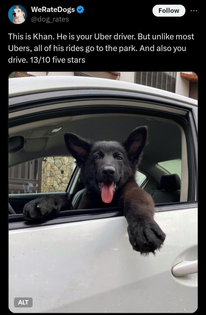 Q WeRateDogs This is Khan He is your Uber driver But unlike most Ubers all of his rides go to the park And also you drive 1310 five stars