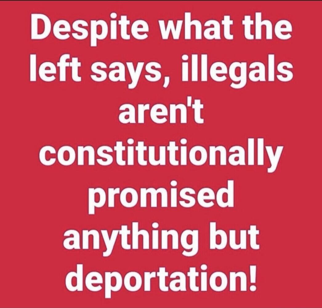Despite what the left says, illegals aren't constitutionally promised anything but deportation!