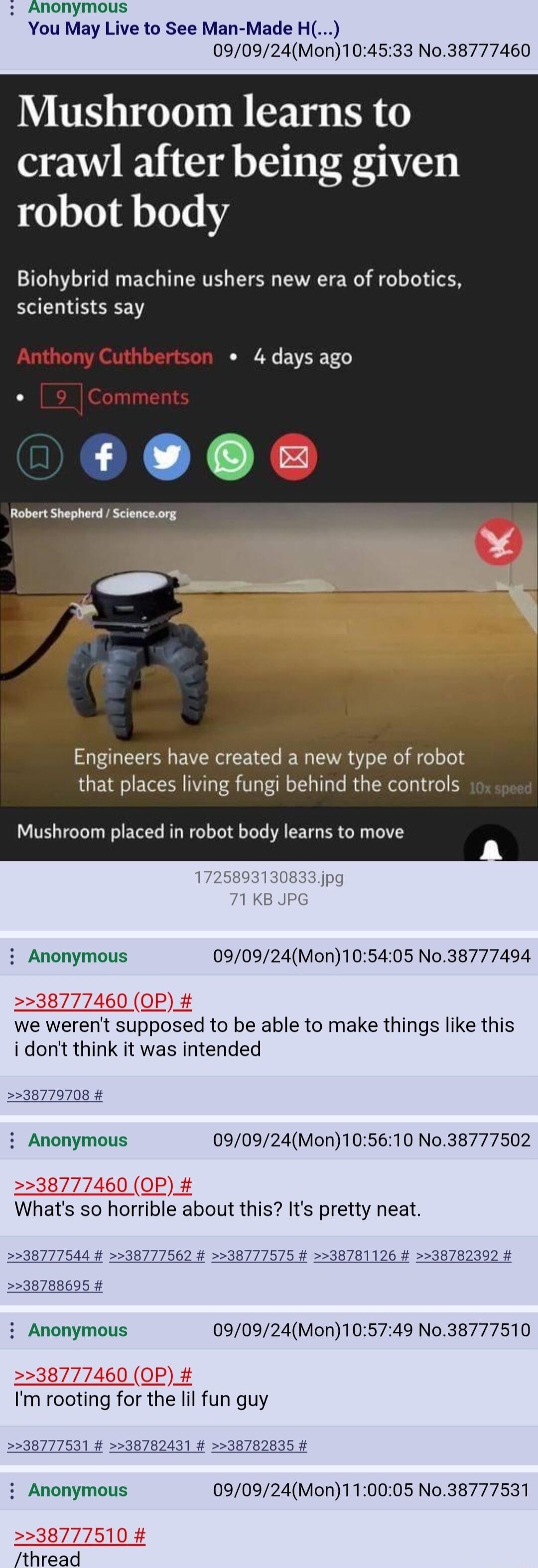 Anonymous You May Live to See Man Made H 090924Mon104533 No38777460 Mushroom learns to crawl after being given robot body Biohybrid machine ushers new era of robotics scientists say Anthony Cuthbertson 4 days ago o 9 Comments Engineers have created a new type of robot that places living fungi behind the controls Mushroom placed in robot body learns to move KB JPG i Anonymous 090924Mon105405 No3877