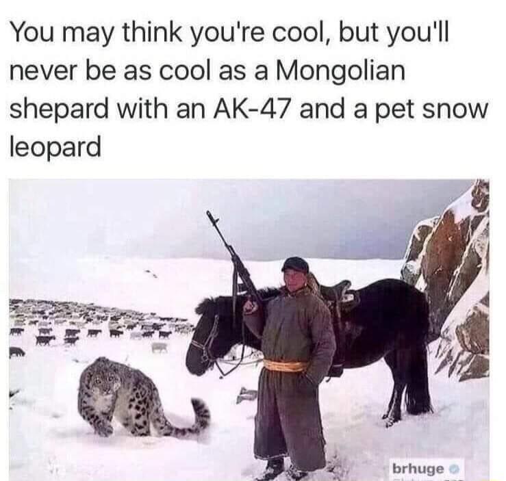 You may think youre cool but youll never be as cool as a Mongolian shepard with an AK 47 and a pet snow leopard 7 b 4 brhuge