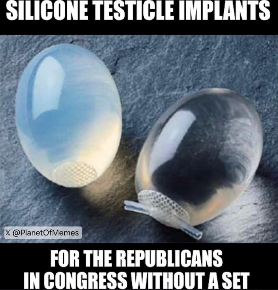 SILICONE TESTICLE IMPLANTS FOR THE REPUBLICANS IN CONGRESS WITHOUT A SET