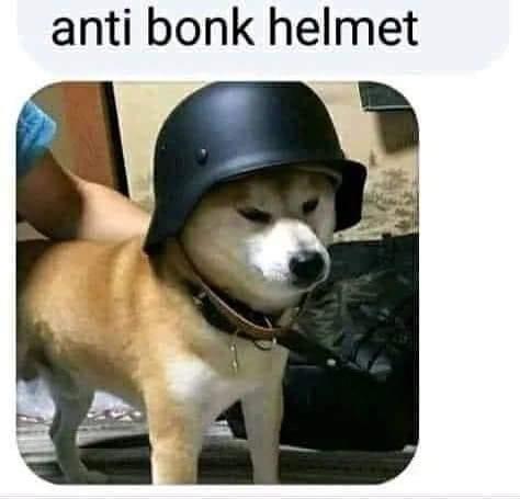 anti bonk helmet