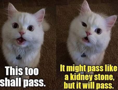 This too shall pass. It might pass like a kidney stone, but it will pass.