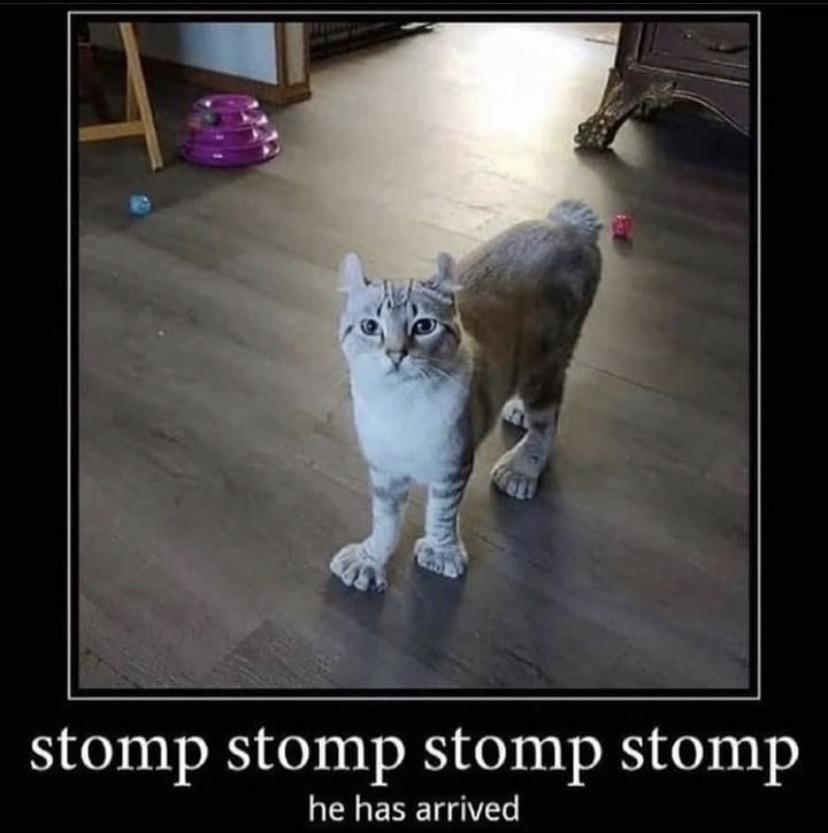 stomp stomp stomp stomp he has arrived