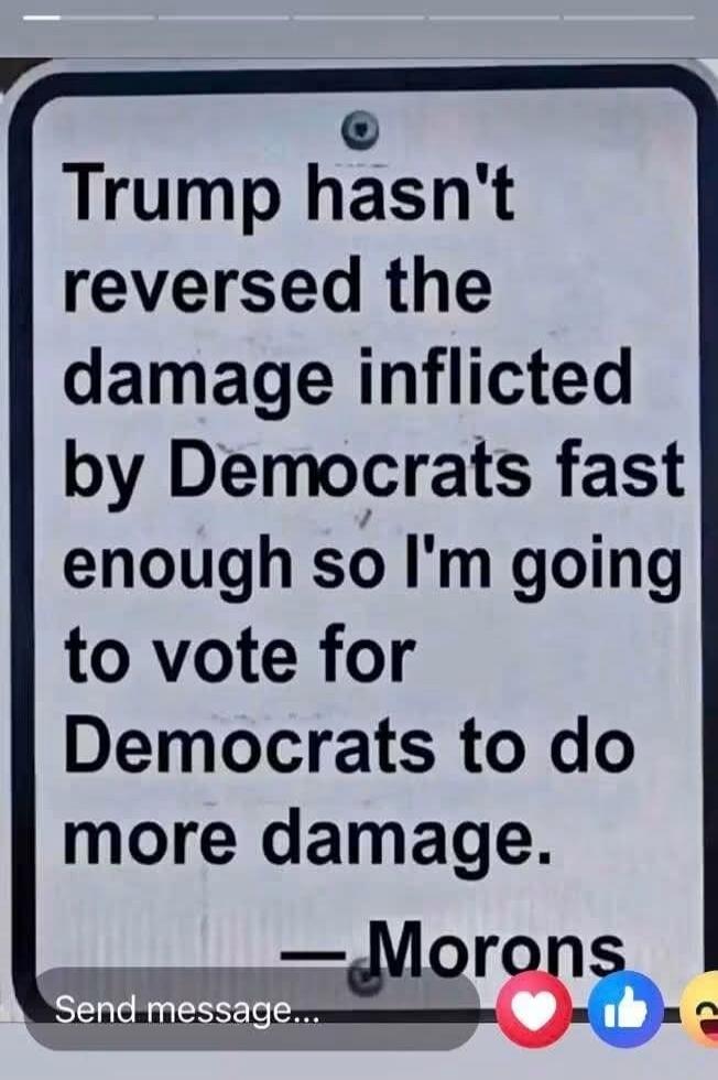 Trump hasn't reversed the damage inflicted by Democrats fast enough so I'm going to vote for Democrats to do more damage. — Morons