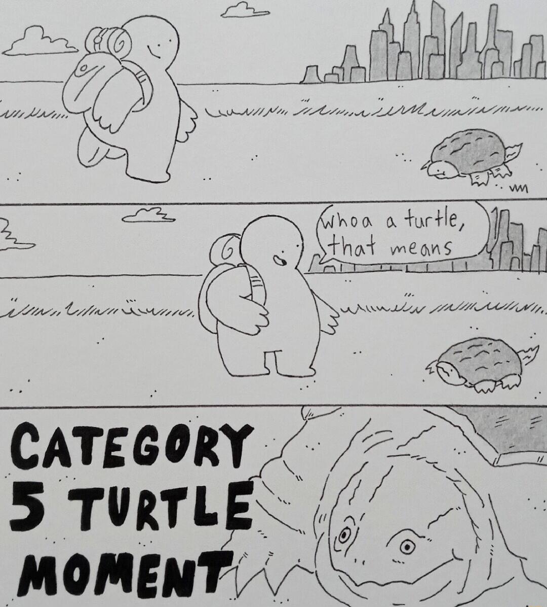 CATEGORY 5 TURTLE i