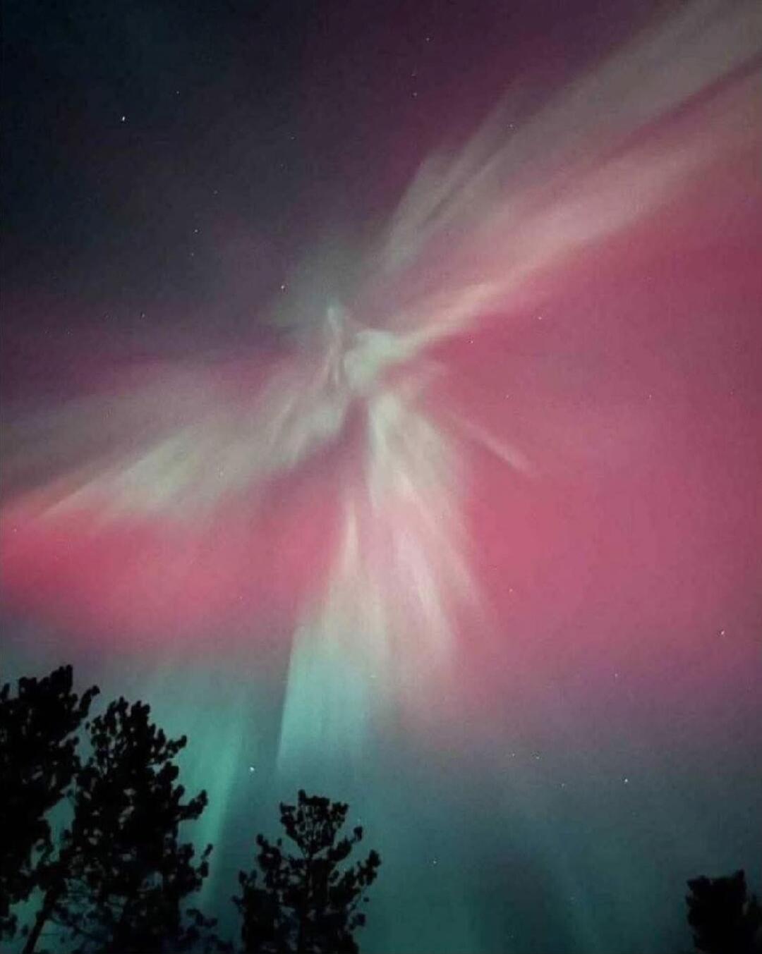 Colorful aurora borealis in the night sky with pink and green hues over trees.