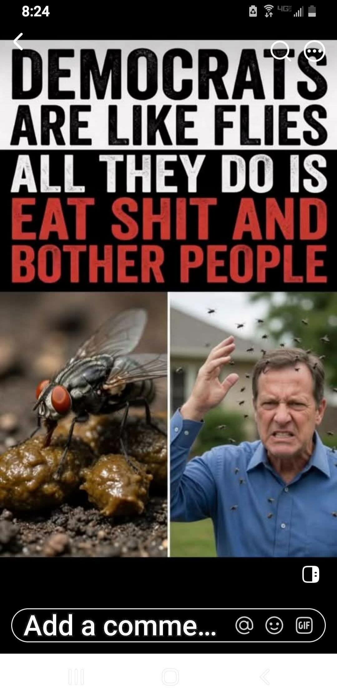 DEMOCRATS ARE LIKE FLIES ALL THEY DO IS EAT SHIT AND BOTHER PEOPLE