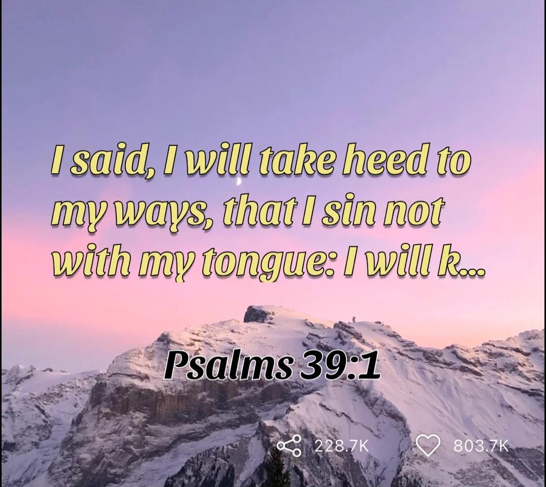 I said, I will take heed to my ways, that I sin not with my tongue: I will k... Psalms 39:1