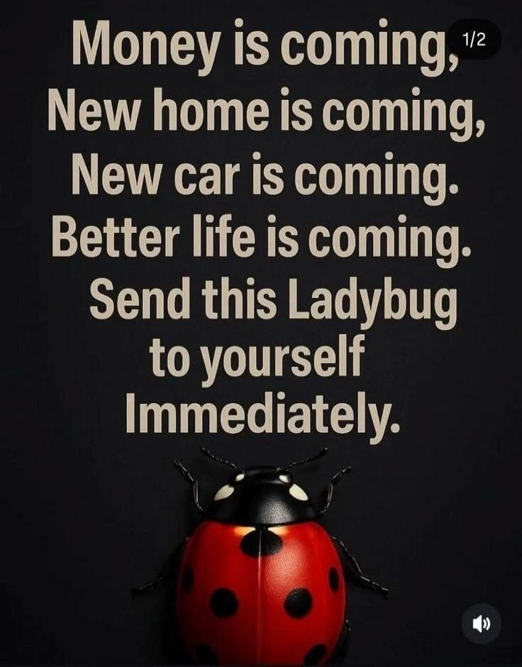 Money is coming, New home is coming, New car is coming. Better life is coming. Send this Ladybug to yourself Immediately.