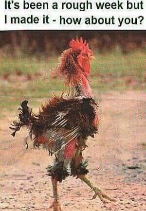 It's been a rough week but I made it - how about you?