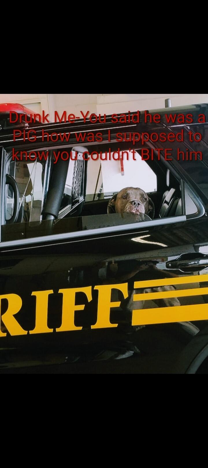 Drunk Me-You said he was a PIG how was I supposed to know you couldn't BITE him