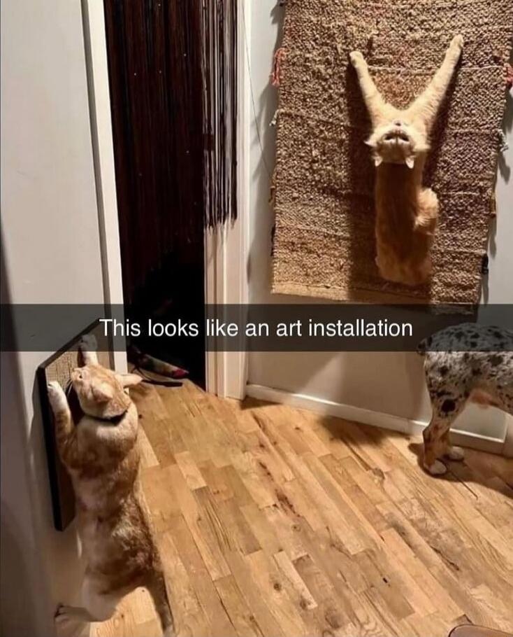 This looks like an art installation