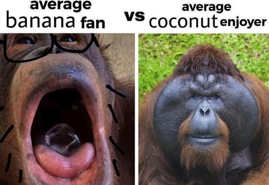 average average bananafan VS coconutenjoyer 4