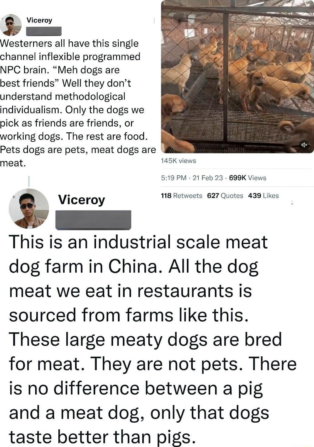 8 viceroy s Westerners all have this single channel inflexible programmed NPC brain Meh dogs are best friends Well they dont understand methodological individualism Only the dogs we pick as friends are friends or working dogs The rest are food Pets dogs are pets meat dogs are B asKviews 519PM 21 Fob 23 699K Views 118 Retueets 627 Quotes 438 Likes Viceroy This is an industrial scale meat dog farm i
