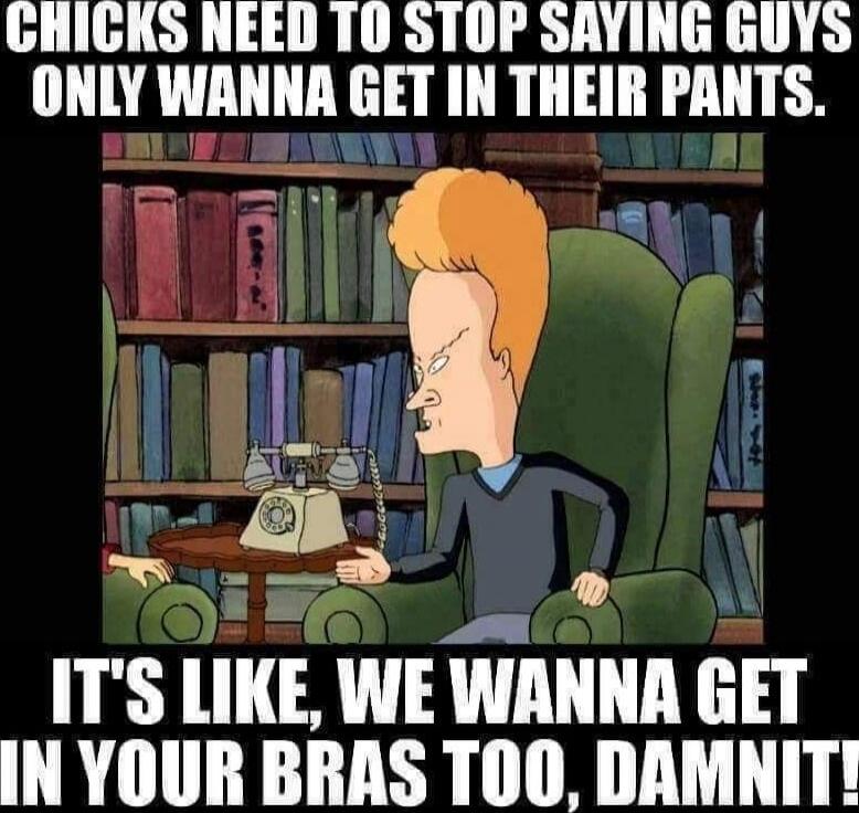 CHICKS NEED TO STOP SAYING GUYS ONLY WANNA GET IN THEIR PANTS. IT'S LIKE, WE WANNA GET IN YOUR BRAS TOO, DAMNIT!