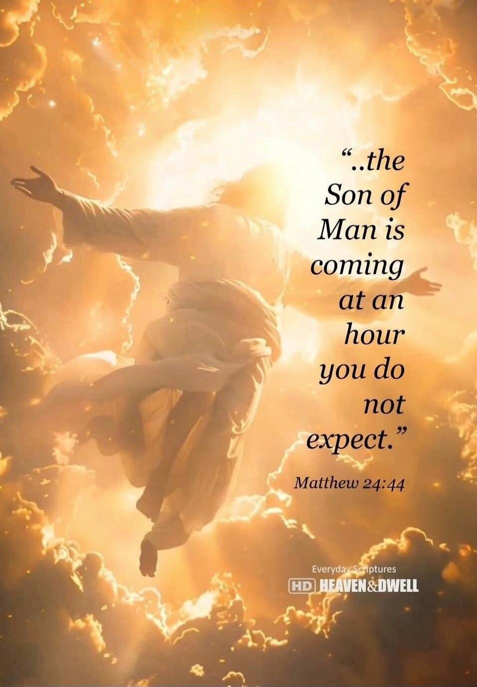 ..the Son of Man is coming at an hour you do not expect. Matthew 24:44. Everyday Scriptures. HD Heaven & Dwell.
