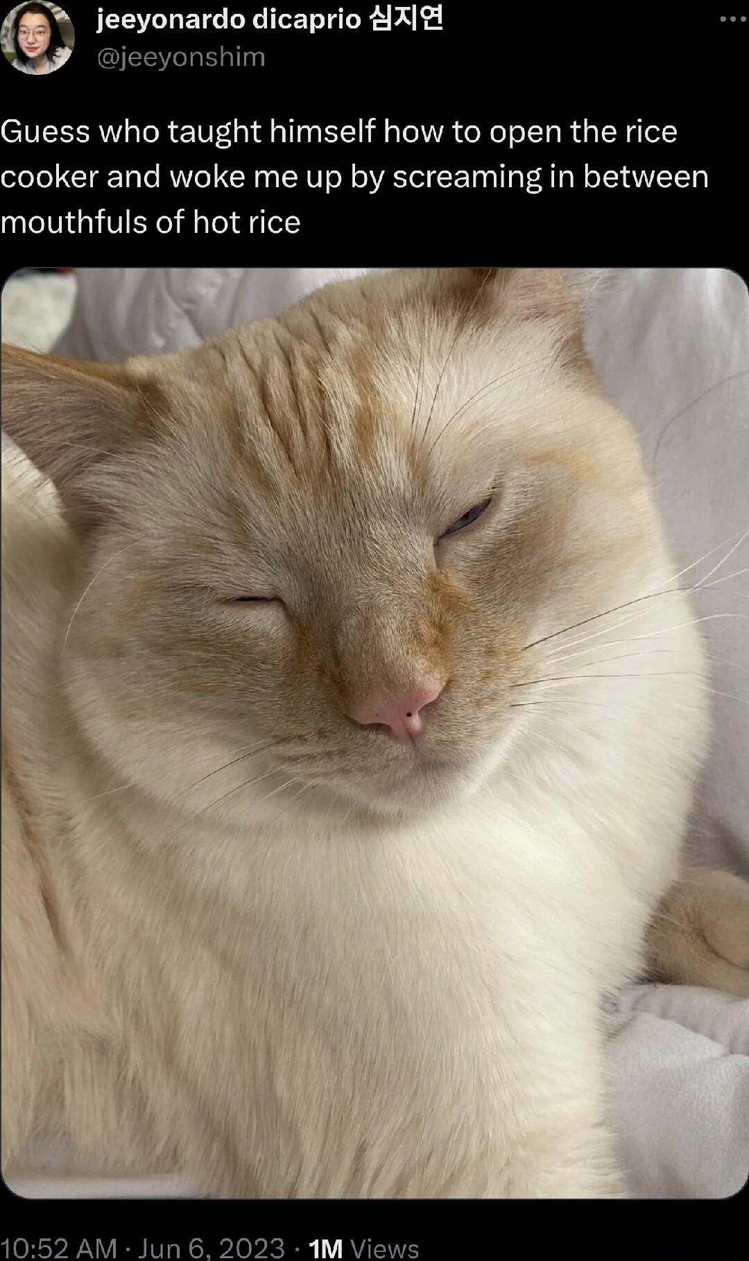 jeeyonardo dicaprio 1X eyonshim Guess who taught himself how to open the rice cooker and woke me up by screaming in between mouthfuls of hot rice