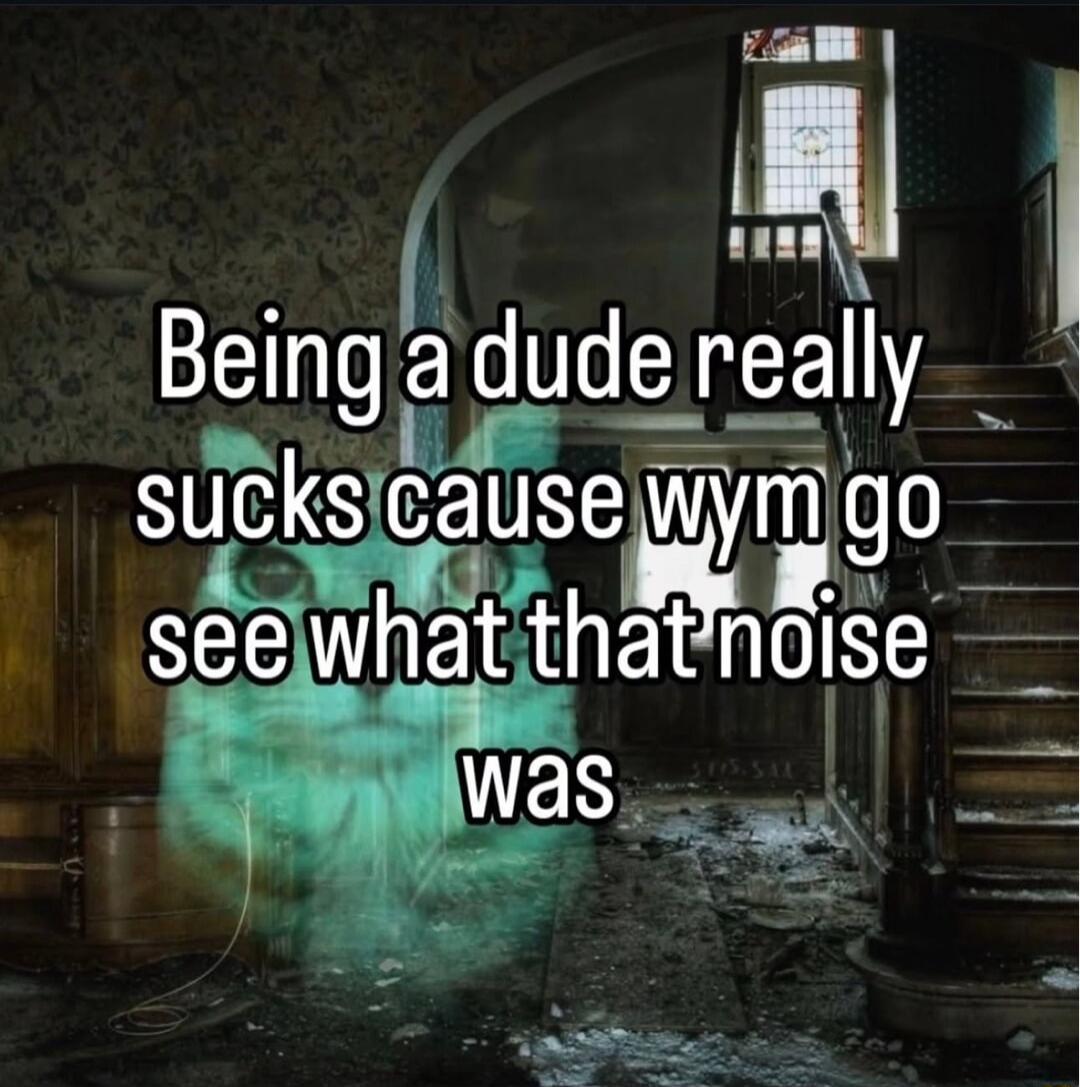 Being a dude really sucks cause wym go see what that noise was
