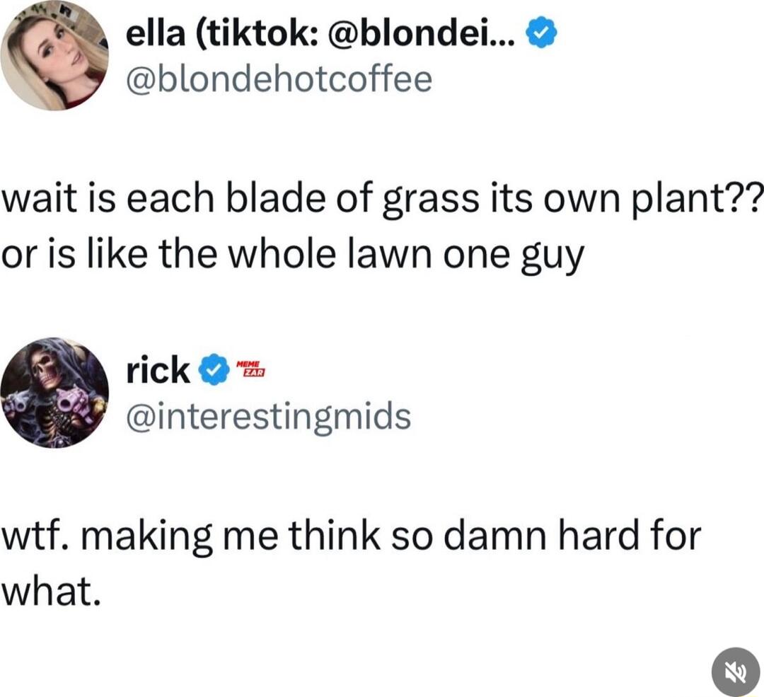 ella tiktok blondei blondehotcoffee wait is each blade of grass its own plant or is like the whole lawn one guy rick interestingmids wtf making me think so damn hard for what o