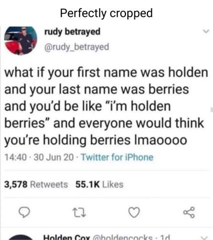 Perfectly cropped rudy betrayed rudy_betrayed what if your first name was holden and your last name was berries and youd be like m holden berries and everyone would think youre holding berries Imaoooo 1440 30 Jun 20 Twitter for iPhone 3578 Retweets 551K Likes Q 1 Q g Ualdan Pavy Ahnldancsncke 14