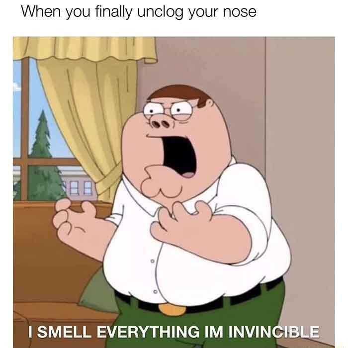 When you finally unclog your nose I SMELL EVERYTHING IM INVINCIB