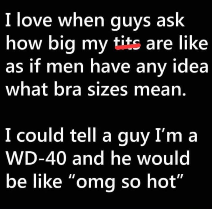 LoAVIRVYI o TTo We VVAR 1 how big my tits are like I AR EVERE WA T F what bra sizes mean I could tellaguyIma WD 40 and he would be like omg so hot