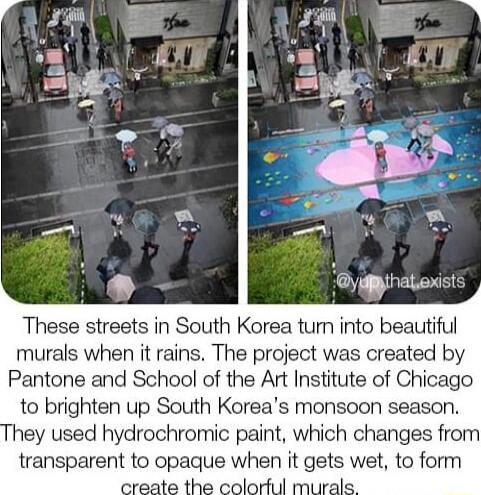 These streets in South Korea tum into beautiful murals when it rains The project was created by Pantone and School of the Art Institute of Chicago to brighten up South Koreas monsoon season hey used hydrochromic paint which changes from transparent to opaque when it gets wet to form