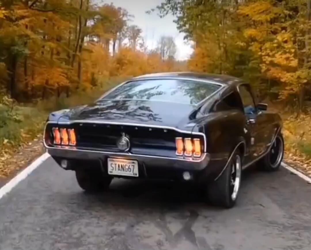 STANG67