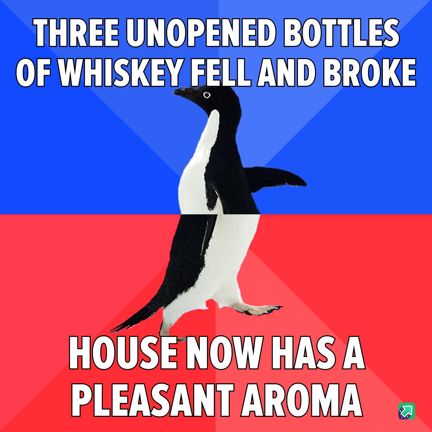 THREE UNOPENEDIBOTTLES OF WHISKEY FELL AND BROKE HOUSE NOW HAS A PLEASANTAROMA