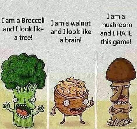 I am a Broccoli and I look like a tree! I am a walnut and I look like a brain! I am a mushroom and I HATE this game!