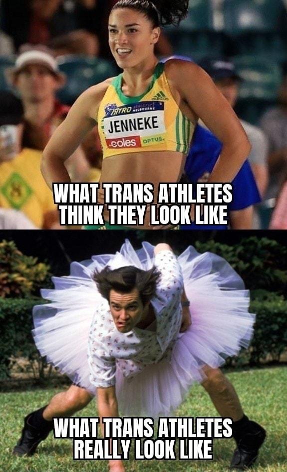 WHAT TRANS ATHLETES S THINK THEYLOOKILIKE 4 WHllI TRANS IITHLETES IIEAllY LOOKLIKE