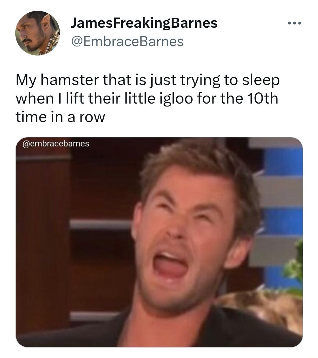 JamesFreakingBarnes DEmbraceBarnes My hamster that is just trying to sleep when lift their little igloo for the 10th time in a row