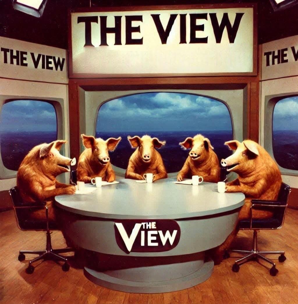 THE VIEW (background) THE VIEW (desk logo) The View: five pigs seated around a circular table, cups in front of them, studio set.