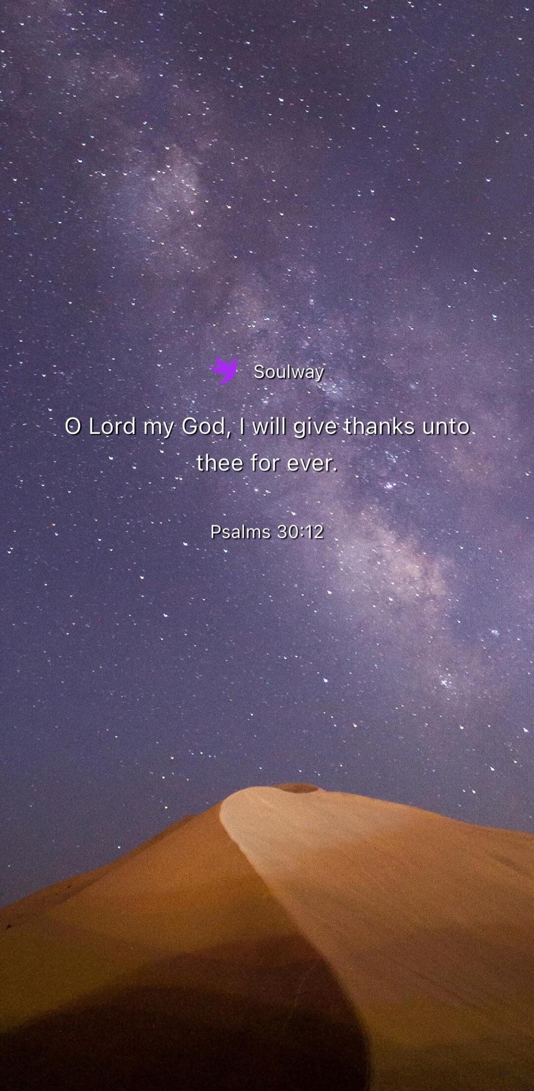 Soulway O Lord my God, I will give thanks unto thee for ever. Psalms 30:12
