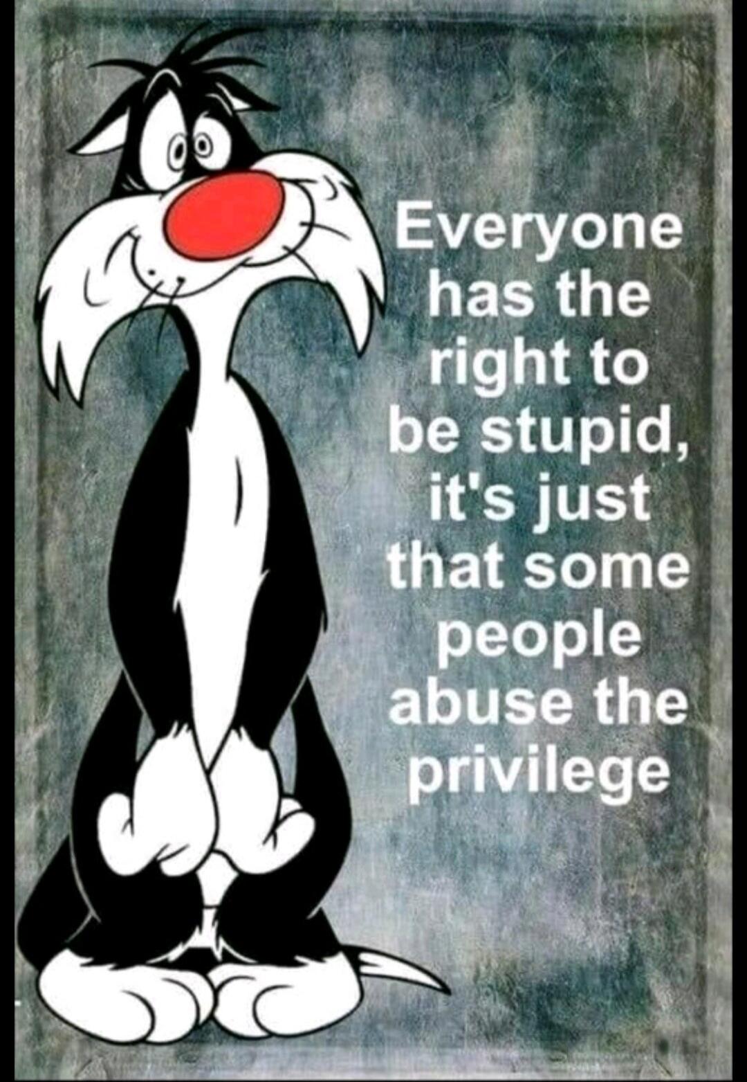 Everyone has the right to be stupid, it's just that some people abuse the privilege