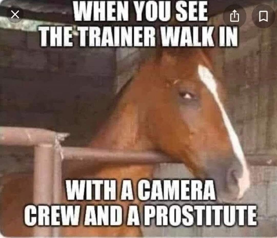 WHEN YOU SEE THE TRAINER WALK IN WITH A CAMERA CREW AND A PROSTITUTE