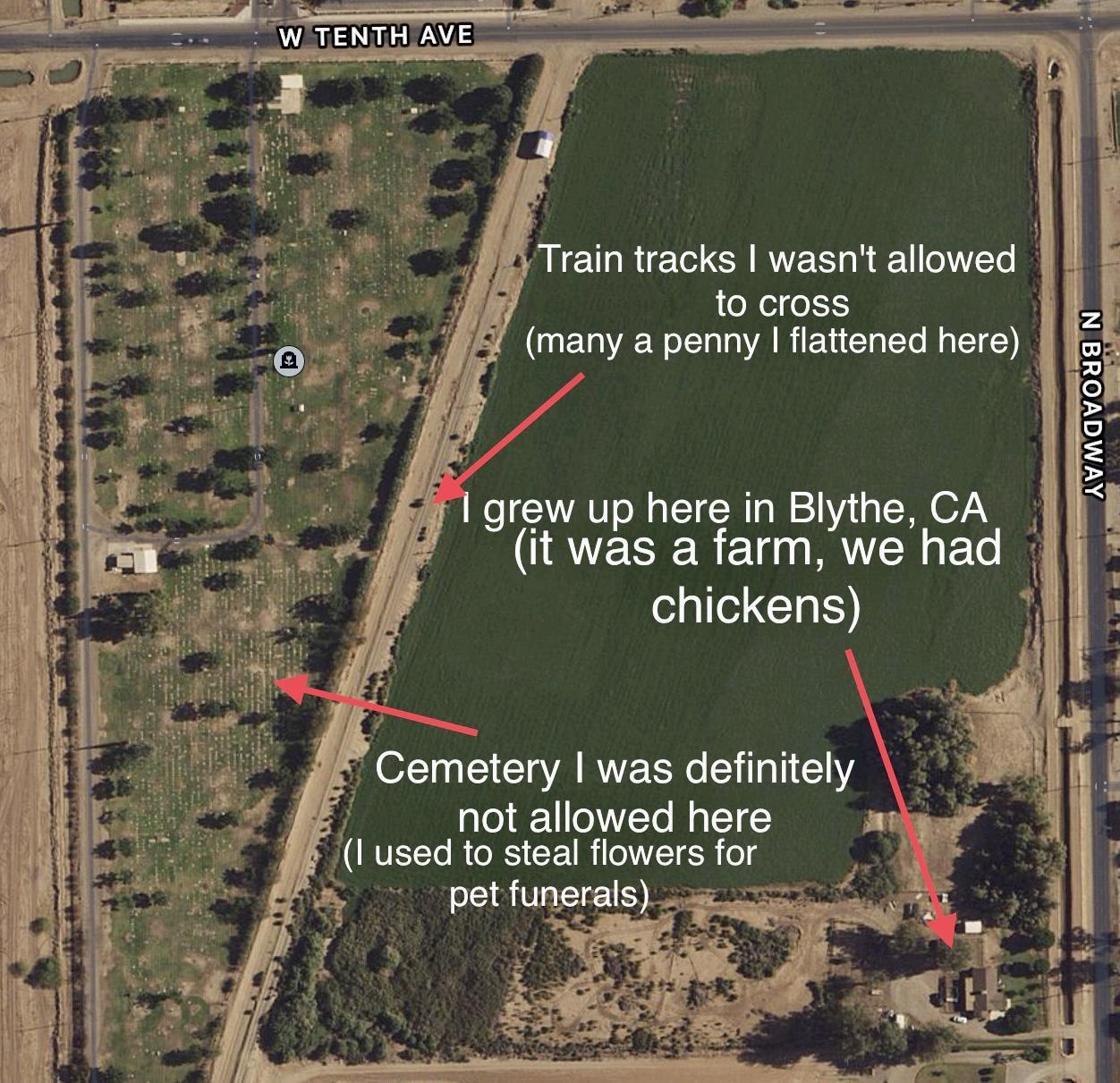 Train tracks wasnt allowed 10 cross many a penny flattened here grew up here in Blythe CA it was a farm we had chickens o EIELARERE EIR TN not allowed here 1 used to steal flowers for pet funerals