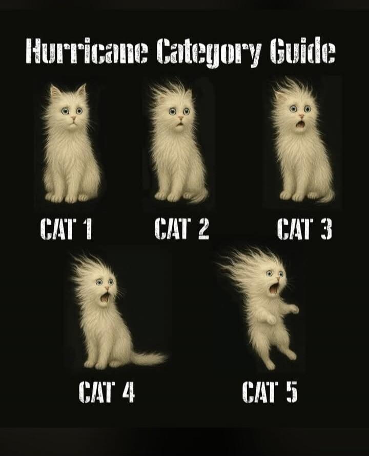 Hurricane Category Guide CAT 1 CAT 2 CAT 3 CAT 4 CAT 5