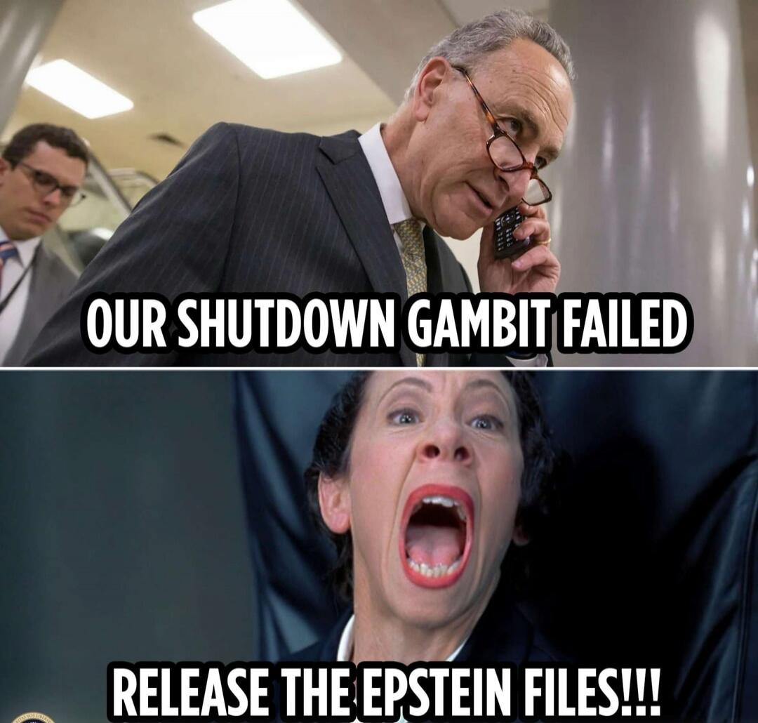 OUR SHUTDOWN GAMBIT FAILED
RELEASE THE EPSTEIN FILES!!!