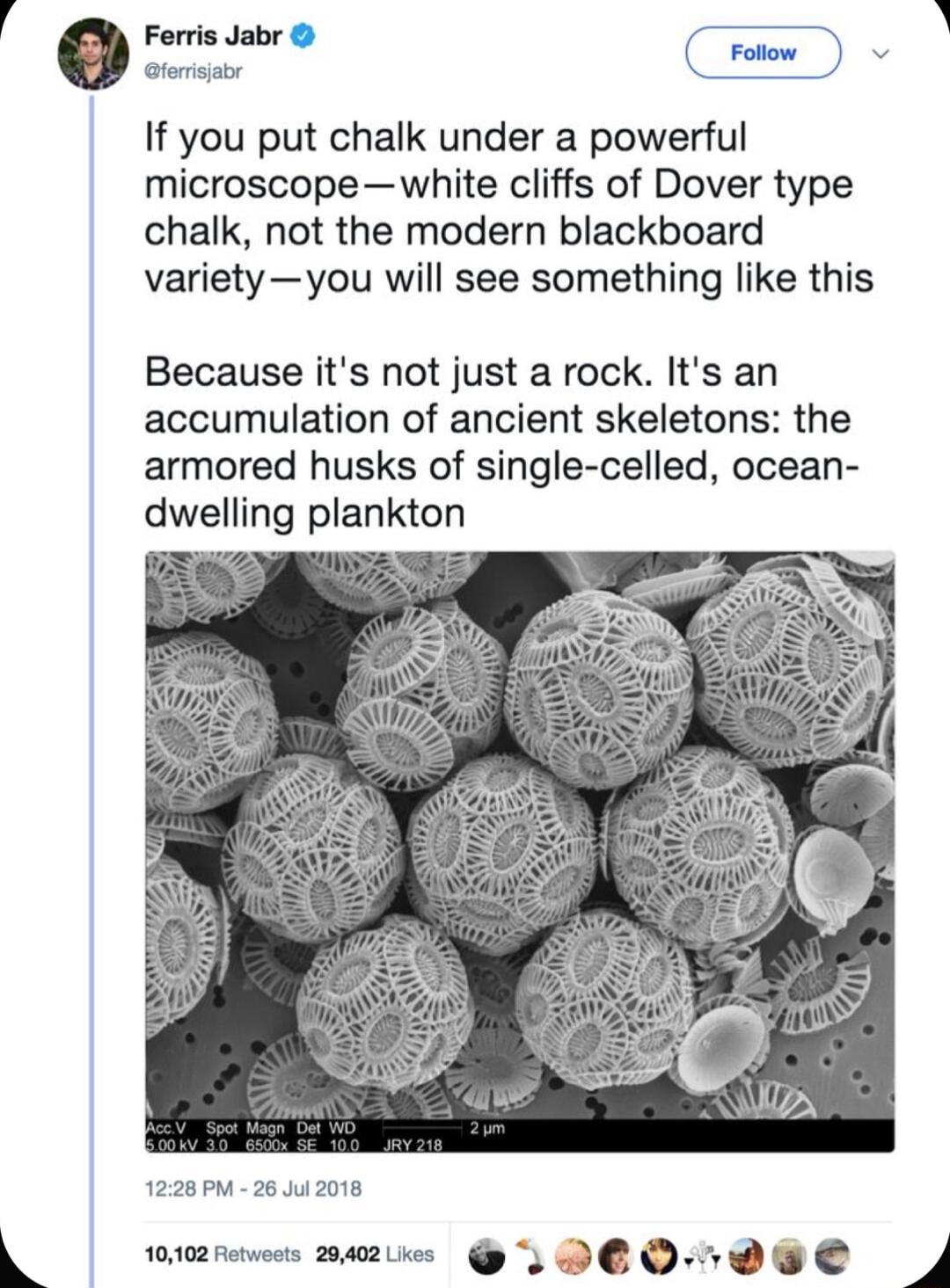 r Fervie daty rotow atemsatr If you put chalk under a powerful microscopewhite cliffs of Dover type chalk not the modern blackboard varietyyou will see something like this Because its not just a rock Its an accumulation of ancient skeletons the armored husks of single celled ocean dwelling plankton 1226 PM 26 Jul 2018 L e 2azie P LDED DS 4