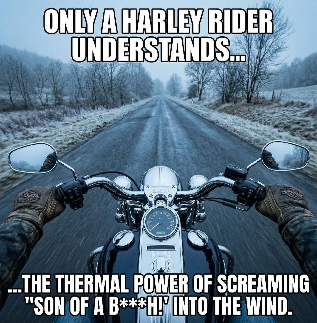 ONLY A HARLEY RIDER UNDERSTANDS... ...THE THERMAL POWER OF SCREAMING 