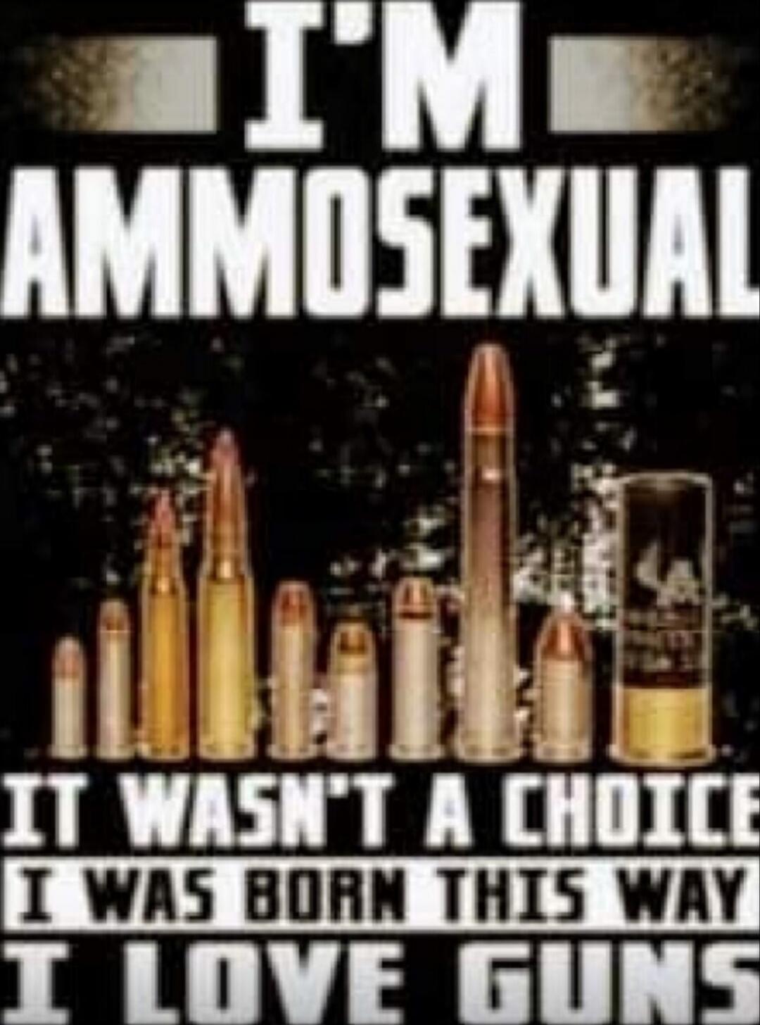 I'M AMMOSEXUAL
IT WASN'T A CHOICE
I WAS BORN THIS WAY
I LOVE GUNS