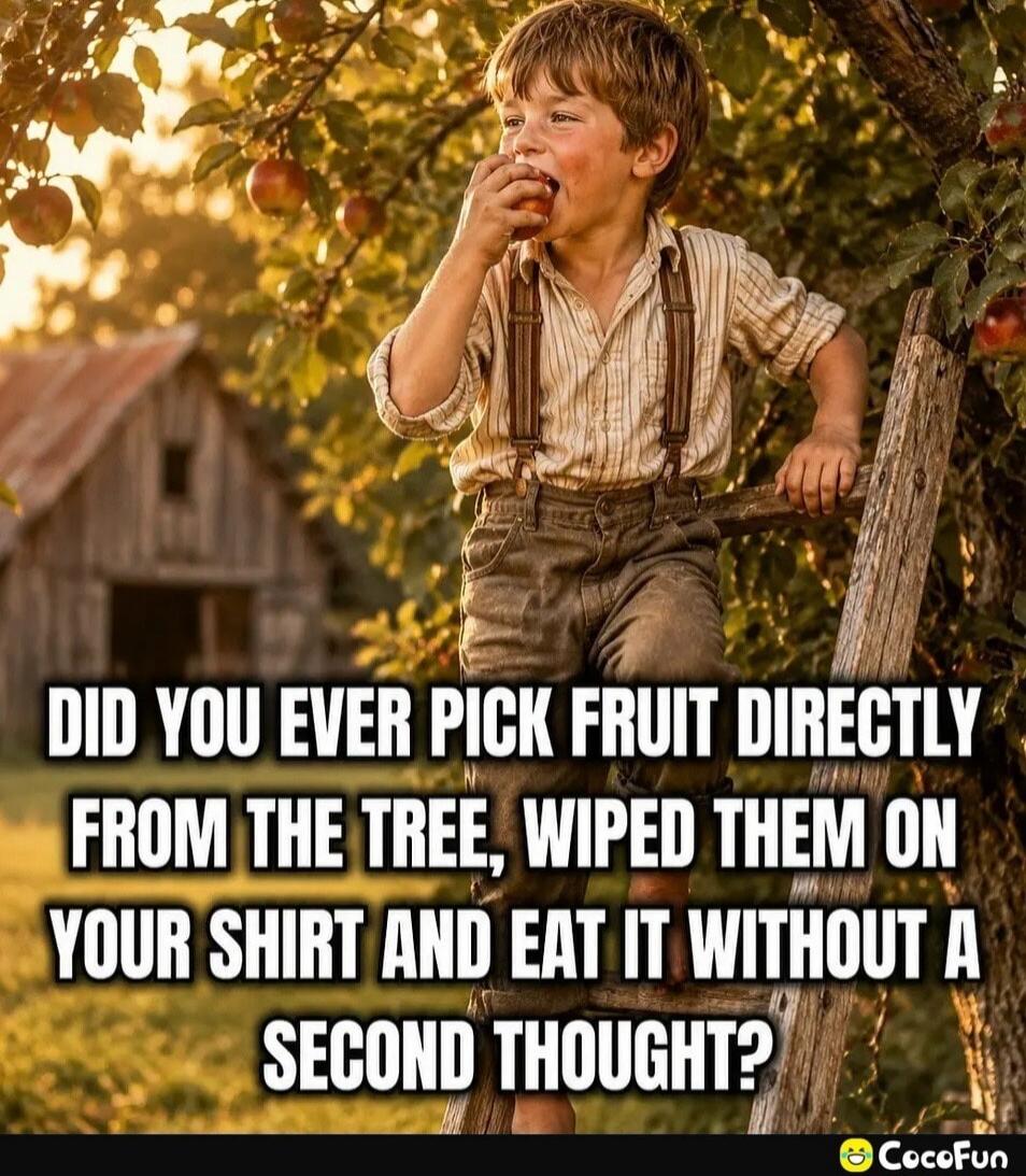DID YOU EVER PICK FRUIT DIRECTLY FROM THE TREE, WIPED THEM ON YOUR SHIRT AND EAT IT WITHOUT A SECOND THOUGHT?